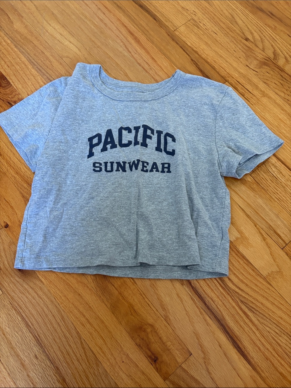 PacSun Heather Gray Cropped Graphic Tee